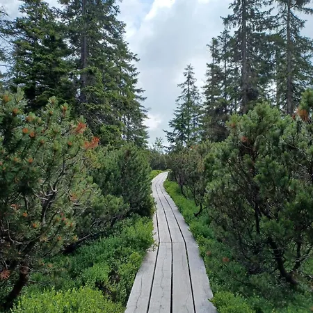 Hill 29 By Interhome Semesterbostad Cista (Hradec Kralove)