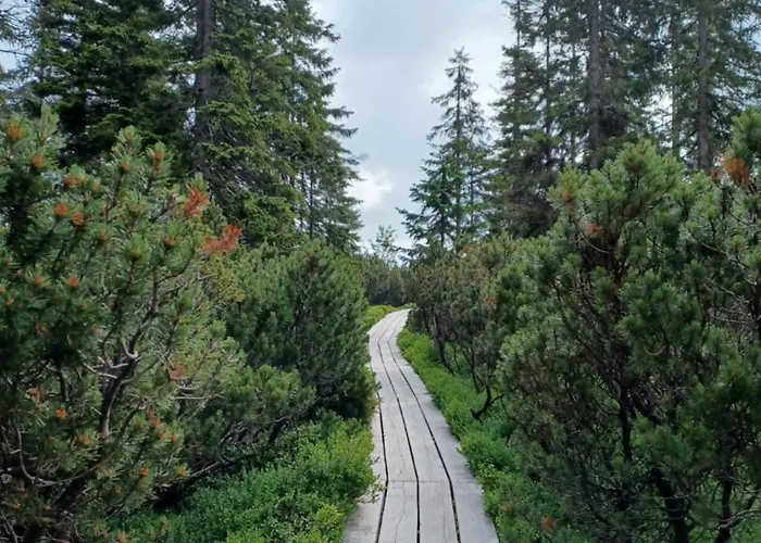 Hill 29 By Interhome Semesterbostad Cista (Hradec Kralove)